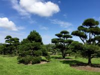 Kurpark Bad Zwischenahn – Entspannung direkt vor der Haustür