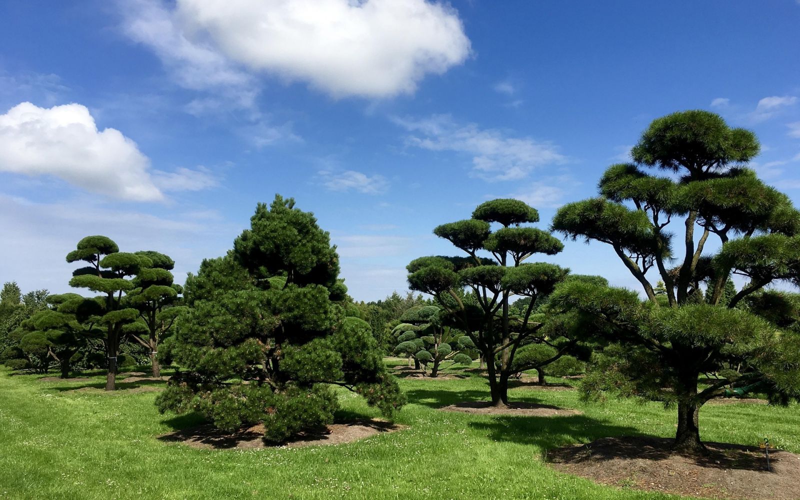 Kurpark Bad Zwischenahn – Entspannung direkt vor der Haustür